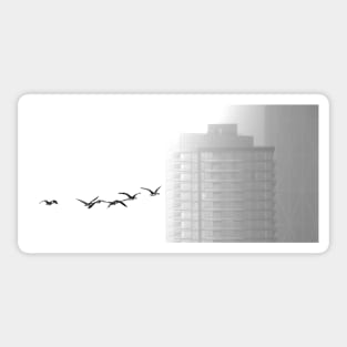 Geese flying in the snow. Sticker